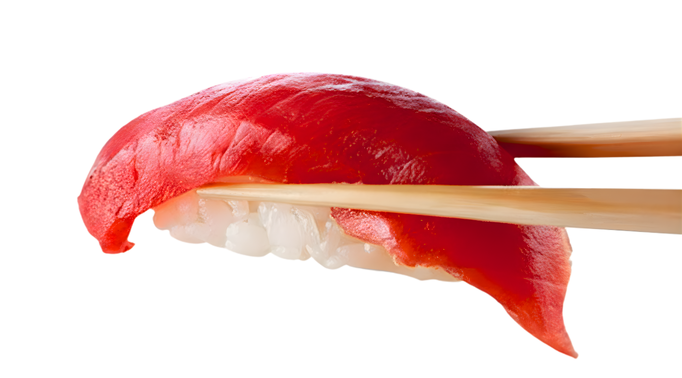 Sushi Maguro